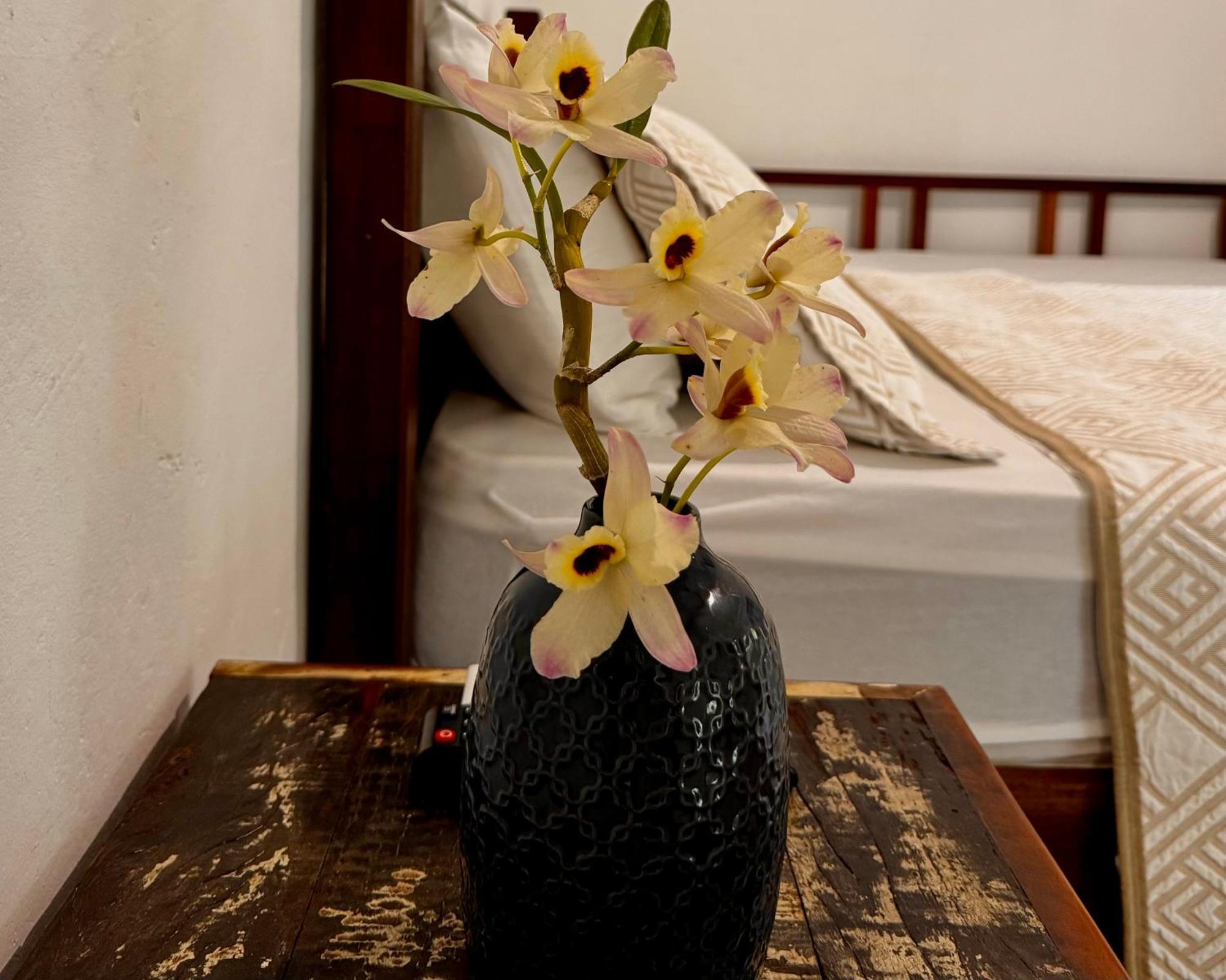 Casa Park Villa Araquari Room photo